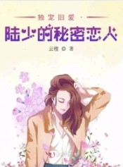 独宠旧爱#183;陆少的秘密恋人